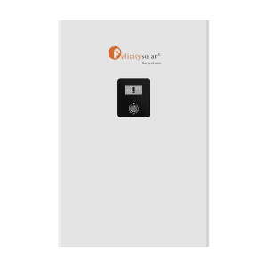 Felicity LPBF 48200-A Lithium Battery