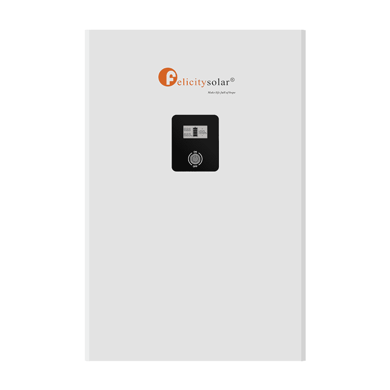 Felicity LPBF 48200-A Lithium Battery