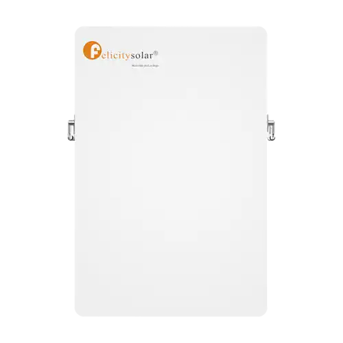 Felicity LPBA 48100-OL Lithium Battery