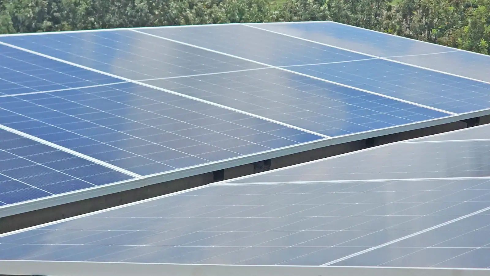 Bifacial solar PV panels installed in an array for high-efficiency renewable energy generation.