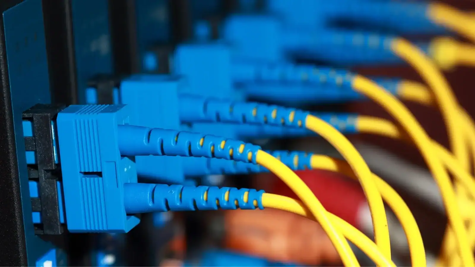 Structured fibre cabling with patch panel connections for organized high-speed network infrastructure.